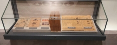 邂逅博物館柜：那些令人驚嘆的文物展示瞬間